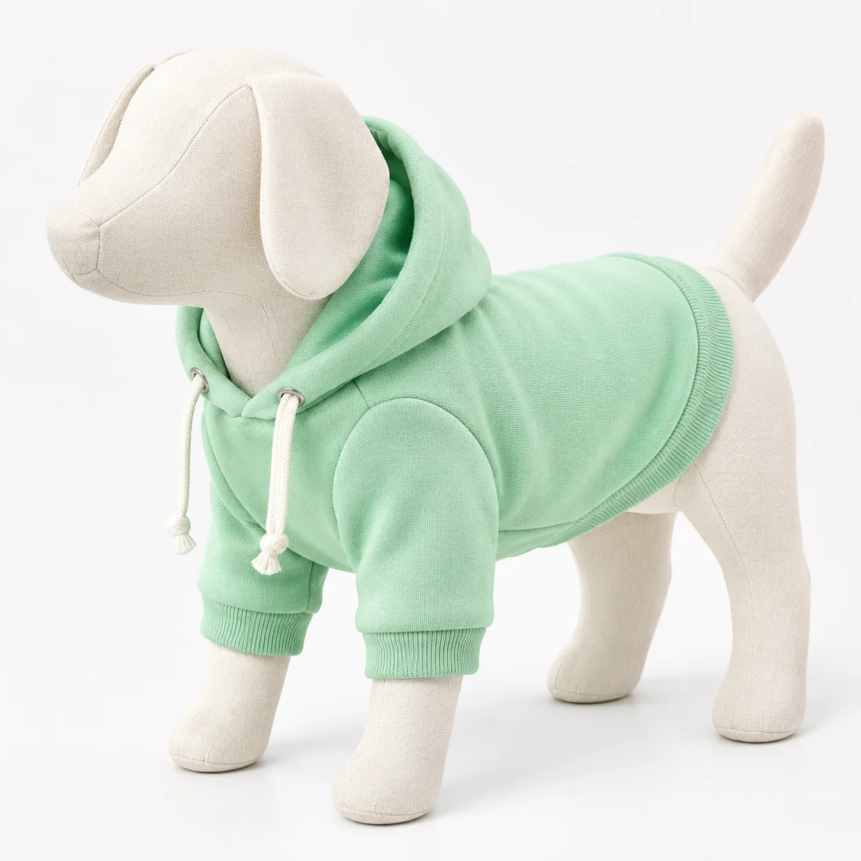 Mint Hoodie